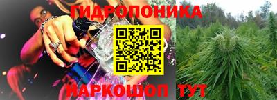 mdma Сланцы