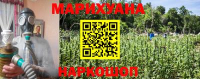 прущие грибы Славгород