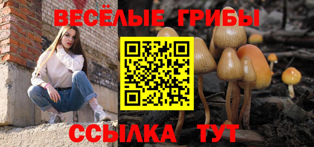 Галлюциногенные грибы GOLDEN TEACHER  Вход с VPN  Нарткала 
